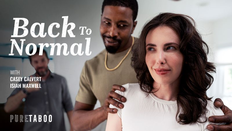 Back To Normal - Pure Taboo
