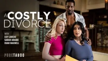 A Costly Divorce